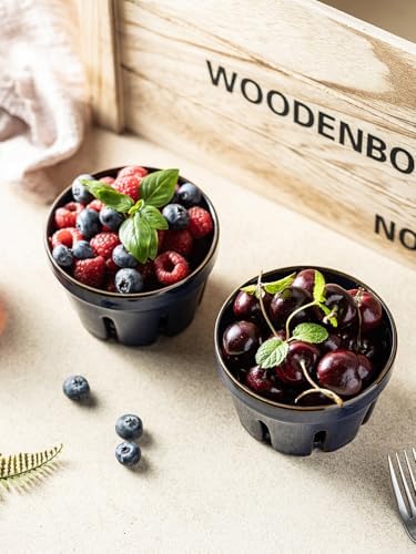 Gomakren Ceramic Berry Bowls with Holes Set of 2 for Fridge, Cobalt Blue
