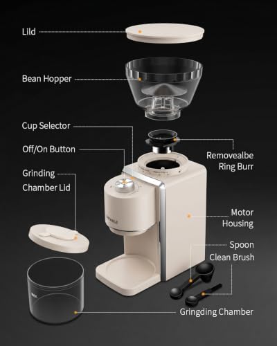 KIDISLE Conical Burr Coffee Grinder 2.0, Electric Coffee Bean Grinder for Precise Grinding, 35 Settings, 2–12 Cup Selector, Anti-Static Design for Home Use, Beige