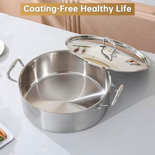 DELARLO Tri-Ply Stainless Steel 8QT Stock Pot,13 inch Everyday Pan with Lid