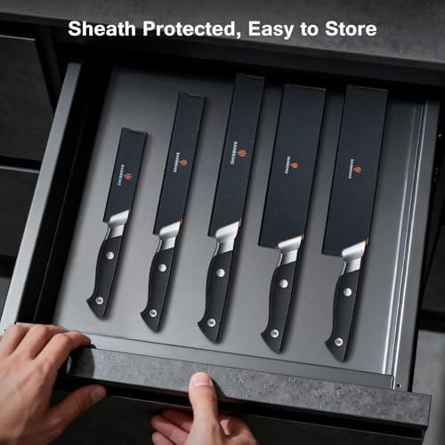 10 PCS Japanese Kitchen Knife Set, Dishwasher Safe
