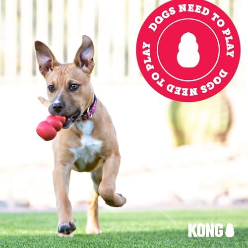 KONG Wobbler - Interactive Dog Toy for Treat Dispensing - Dog Slow Feeder for Healthy Eating - for Medium/Small Dogs (Pack of 2)