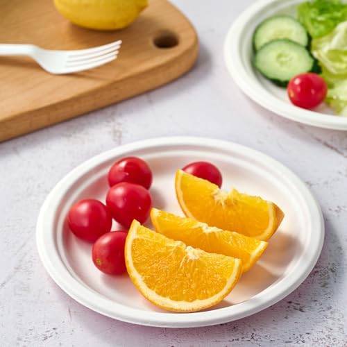 Vplus 350 Pack Compostable Bagasse Paper Plates 6.9 inch, White