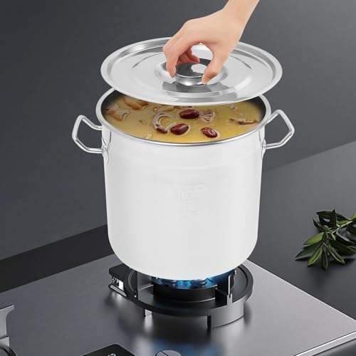 12L/22.2Qt Commercial Large Stock Pot with Lid,Nickel Free Stainless Steel Cookware Healthy Polished Stockpots, Induction Soup Pot for Cooking Home Use