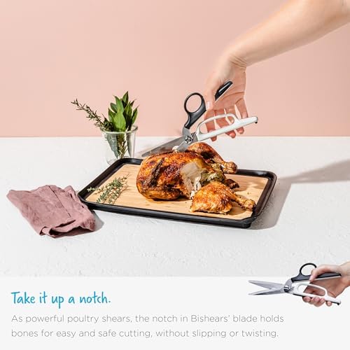 Dreamfarm Bishears 2-in-1 Kitchen Scissors and Shears