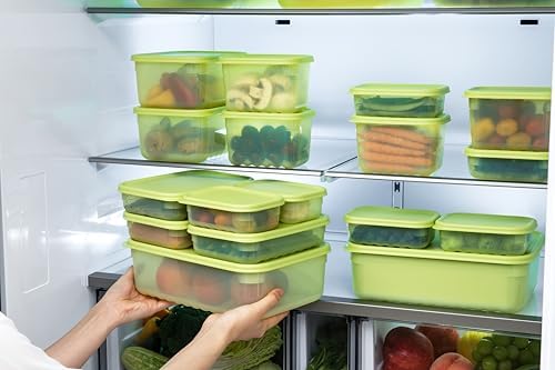 LocknLock Fresh-Block Plastic Food Storage Container | Produce Storage Containers for Fridge | Vegetable & Fruit Storage Containers for Fridge, Storage, Microwave & Dishwasher Safe, 3.2L