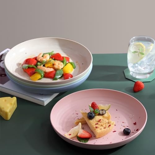 CAMBUY Wheat Straw Plates 4 Pack 10 Inch Extra Large Plate Set