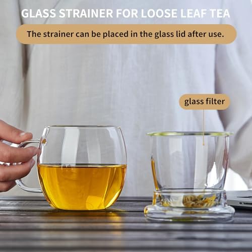 DOPUDO Glass Tea Cup with Infuser and Lid, 17oz/500ml Large Borosilicate Teacup for Loose Leaf Tea, Blooming Tea