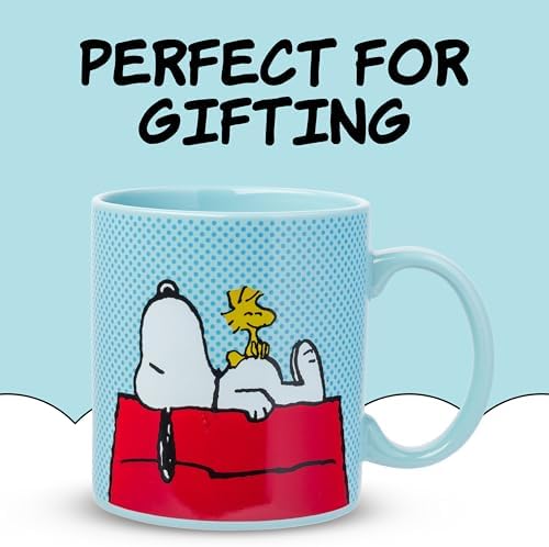 Silver Buffalo Peanuts Snoopy and Woodstock on House, Ceramic Mug, 20oz