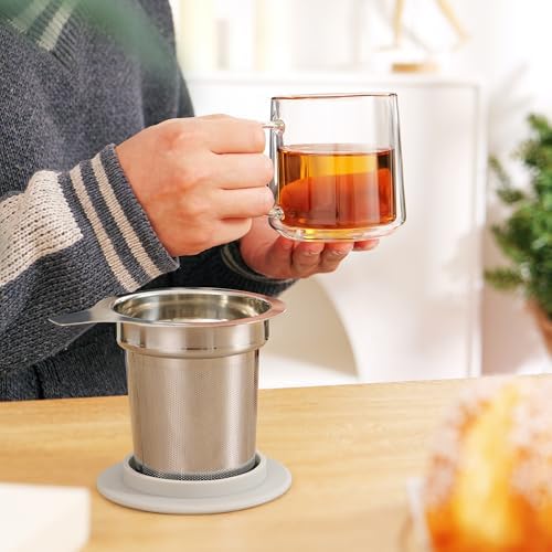 CNGLASS 12oz Double Walled Glass Tea Cup with Stainless Steel Infuser and Lid,Borosilicate Glass Tea Infuser Mug for Loose Tea,Teabag,Set of 1