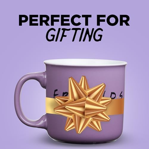 Silver Buffalo FRIENDS Central Perk Smelly Cat, Ceramic Camper Mug, 20oz