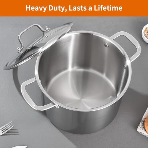 DELARLO Tri-ply Stainless Steel 20 Quart Heavy Duty Induction Stock Pot