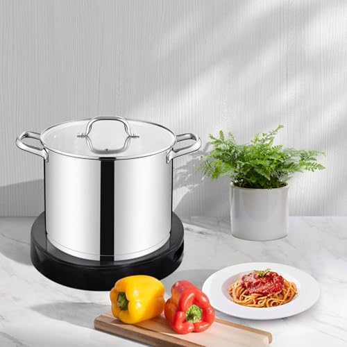 LIANYU 10 Quart Pot with Lid, 10 QT Tri-ply Stainless Steel Stockpot