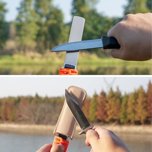 SHARPAL 181N Dual-Grit Diamond Sharpening Stone File