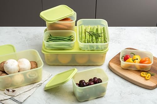 LocknLock Fresh-Block Plastic Food Storage Container | Produce Storage Containers for Fridge | Vegetable & Fruit Storage Containers for Fridge, Storage, Microwave & Dishwasher Safe 330ml