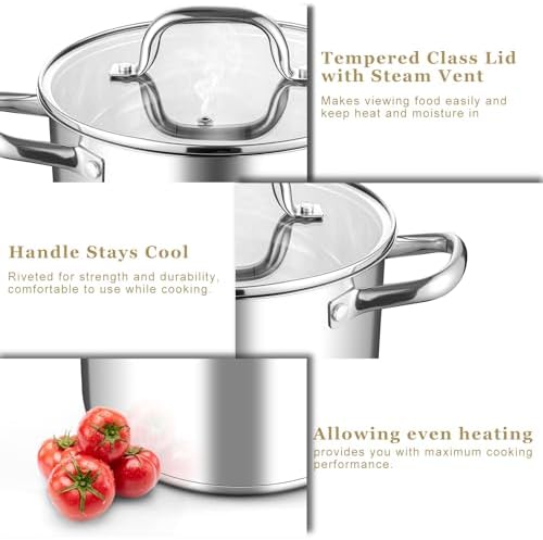 Leonyo 6QT Stock Pot with Lid, Stainless Steel Cooking Stockpots Induction