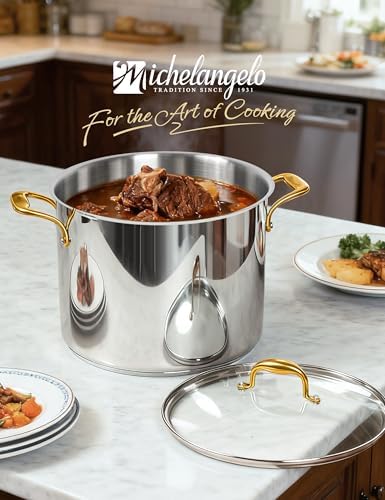 MICHELANGELO Stainless Steel Stock Pot - 20 Quart Soup Pot with Lid & Ergonomic Handle, Extra-Large Pots for Cooking, Suitable for All Stoves