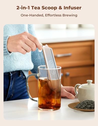 2-in-1 Tea Scoop Infuser for Loose Leaf Tea Strainer Fine Mesh