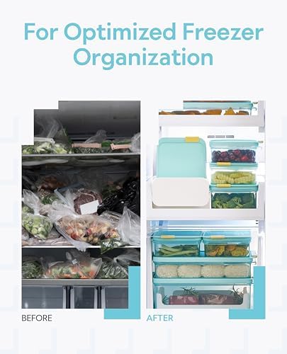 LocknLock Freezer Fit Plastic Freezer Containers | Stackable Food Storage for Meal Prep | Microwave & Dishwasher Safe | BPA Free Freezer Container with Lid, 450ml