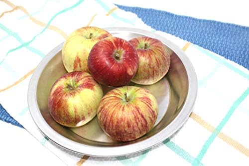 Pie Plate Aluminum Metal 8 Inch Pan - Set of 10