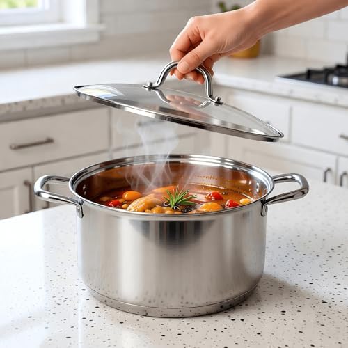 10 Quart Stock Pot, Stainless Steel Pot with Lid For Induction