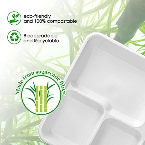 ECOLipak Compostable Disposable 5 Compartment Paper Plates, 10.25inch