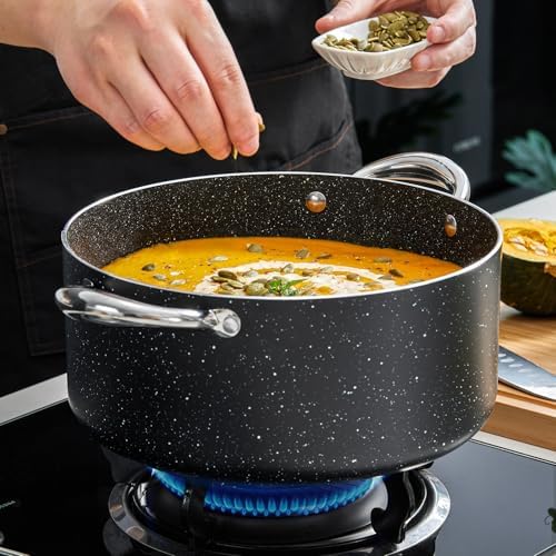 BEZIA 10 Quart Nonstick Stock Pot with Lid, Large Induction Cooking Pot