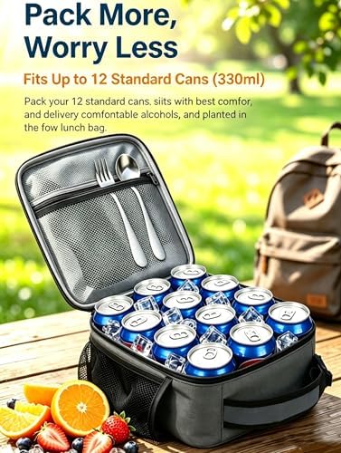 Lunch Box Insulated Lunch bag for Men Teen Kids Boys Adult Portable Stylish Small Lunchbox Special Design for Working Office school Picnic (Gray 6L(Without Shoulder Straps))