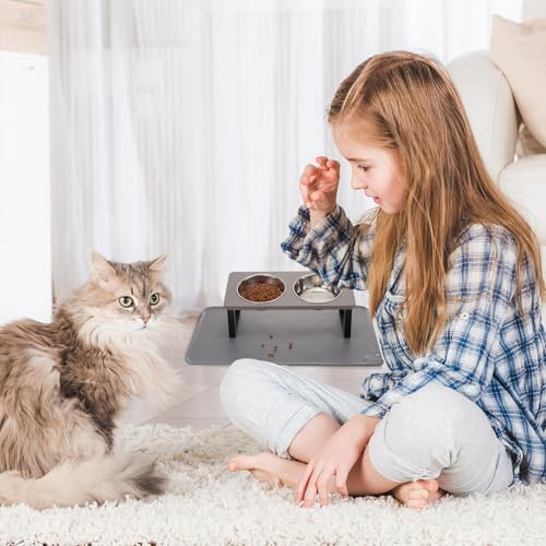 Summark Upgraded Elevated Cat Bowls with Food Mat,15°Tilted Stand Anti Vomiting Raised Cat Dishes for Food and Water,2 Stainless Steel Bowls for Cats and Puppy(Gray)