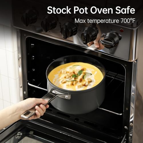 MsMk 2.5 QT Nonstick Saucepan with Lid, Grey Induction Cooking Pot