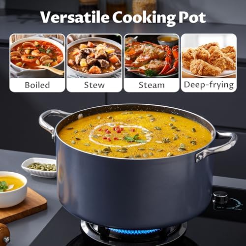 BEZIA 12 Quart Nonstick Stock Pot with Lid, Large Induction Cooking Pot