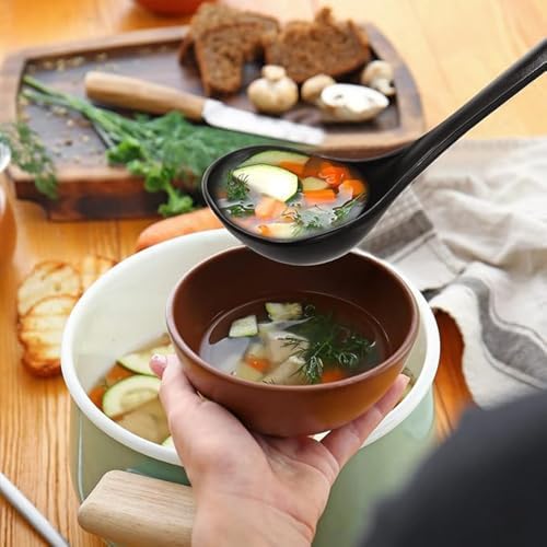 Large Plastic Serving Spoons,Disposable Heavy Duty Serving Spoons,Long Handle Scoop Soup Rice Ladle for Party Catering Buffet Restaurant,20 Pieces (10 Black Colander +10 Black Spoon)