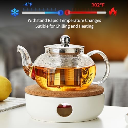 DOPUDO Small Glass Teapot with Infuser, 18 oz 530ml Borosilicate Tea Kettle