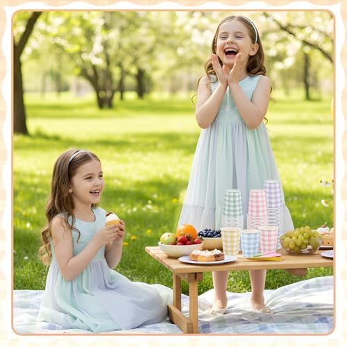 NatNarr 100 Pack Gingham Paper Cups, 9oz Pastel Cups Picnic Paper Cups
