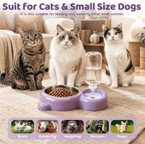 2-in-1 Dog Cat Bowl, Cat Food and Water Bowl Set, Purple