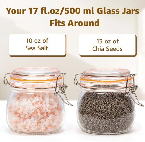 Small Glass Storage Jars with Airtight Lids Wide Mouth 17 oz 6 Pack