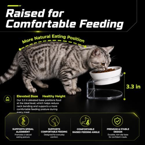 LivLab Mker Elevated Cat Bowls, Tilted Melamine, White, 2 Pack