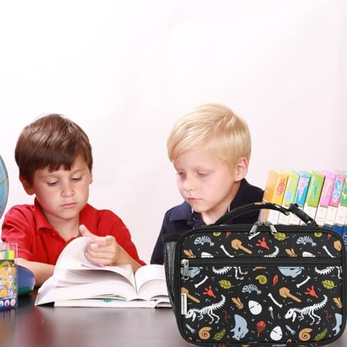 GYEUKHAM Insulated Lunch Box for School, Thermal Reusable Durable Freezable Lunch Bags for Kids Boys Girls Men Women - Small Soft Cooler Portable Lunch Tote Kit for Work Picnic Travel,Dinosaur Fossil