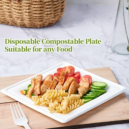 ECOLipak 150 Piecs Compostable Square Paper Plates, 6 inch, White