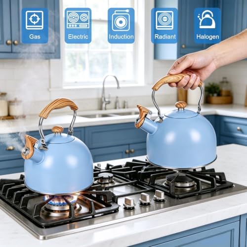 GGC Whistling Tea Kettle for Stove Top, 85OZ/2.6QT Stainless Steel Tea Pot