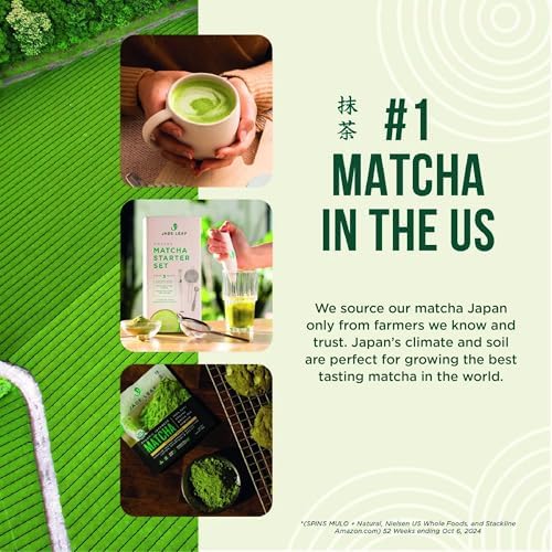 Jade Leaf Matcha Stainless Steel Matcha Sifter