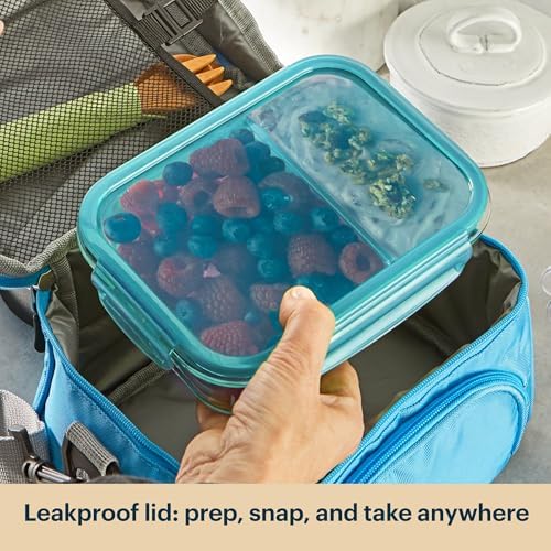 Pyrex Glass Meal Box (5-Pack, 2.3 Cup) Divided Compartments, Locking Lids