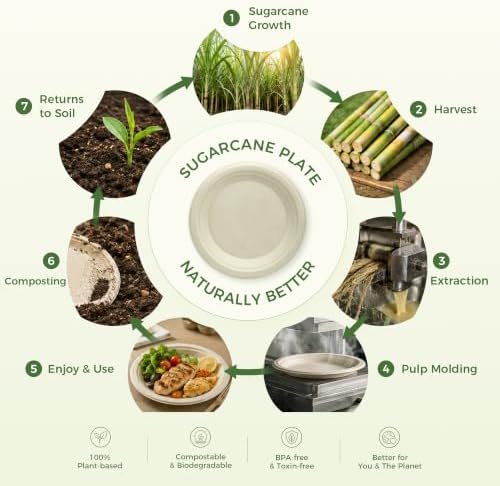 BESTVIP 6 Inch Compostable Sugarcane Paper Plates, Nature,300 Pack