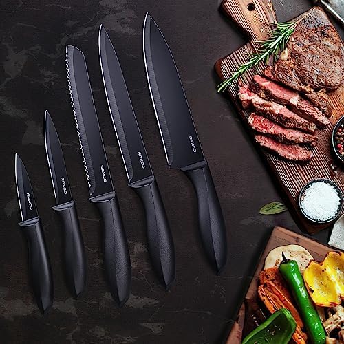 RAXCO Knife Set,10-Piece Stainless Steel Kitchen Knife Set with Block,Black