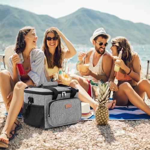 Lifewit Medium Lunch Bag Insulated Lunch Box Soft Cooler Cooling Tote for Adult Men Women, Gray 48-Can (33L)