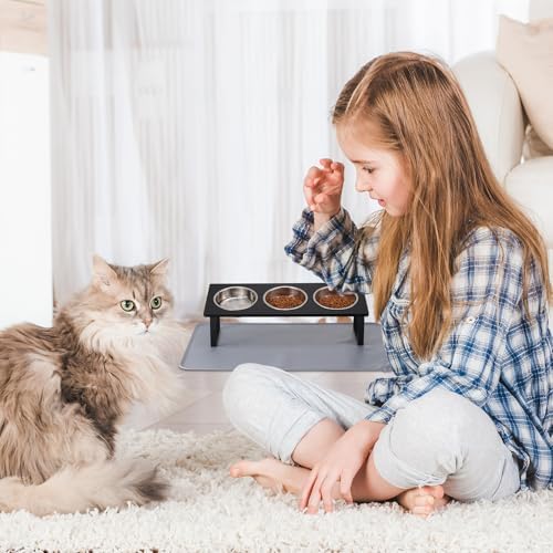 Summark Upgraded Elevated Cat Bowls with Food Mat,15°Tilted Stand Anti Vomiting Raised Cat Dishes for Food and Water,3 Stainless Steel Bowls for Cats and Puppy(Black)