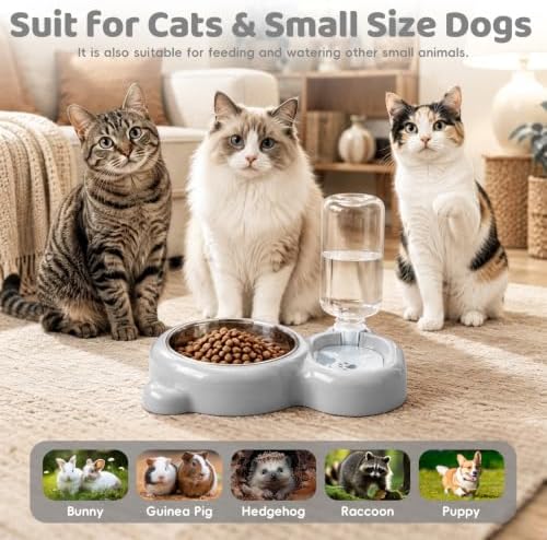 2-in-1 Dog Cat Bowl, Cat Food and Water Bowl Set, White