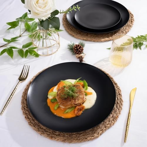 ejonirinjonir 80pcs 10.25in Heavy-Duty Black Plastic Plates for Dinner