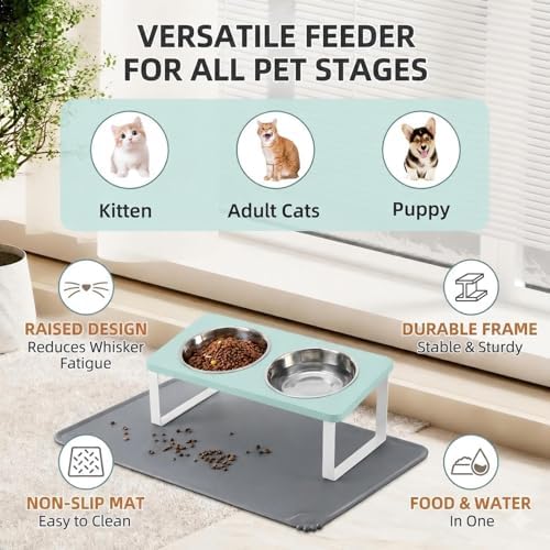 Summark Upgraded Elevated Cat Bowls with Food Mat,15°Tilted Stand Anti Vomiting Raised Cat Dishes for Food and Water,2 Stainless Steel Bowls for Cats and Puppy(Teal)