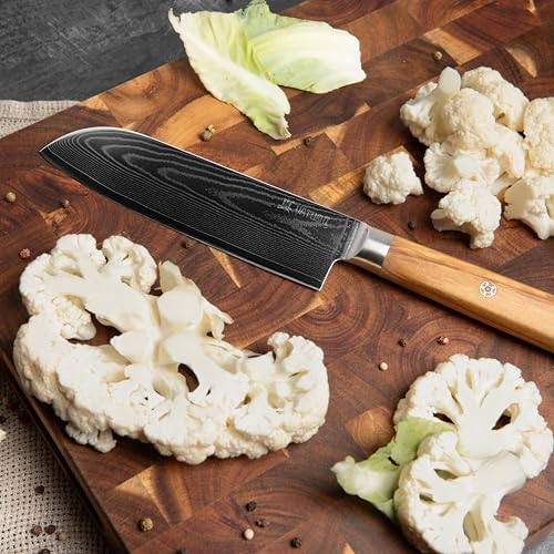 Yatoshi Knives Magnetic Kitchen Knife Block Set - Japanese 67 Layer High-Grade VG-10 Steel Knives, Sharp, Professional Kitchen Knife Set - Damascus (6 pieces), Olive Wood Handles