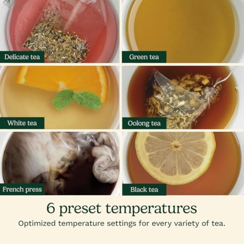 Cuisinart PerfecTemp 1.7-Liter Electric Kettle, Cordless Electric Tea Kettle, 1500W for Fast Heat-Up, 6 Preset Temperatures, 30-Minute Keep Warm, Stay Cool Nonslip Handle, Pistachio Stainless